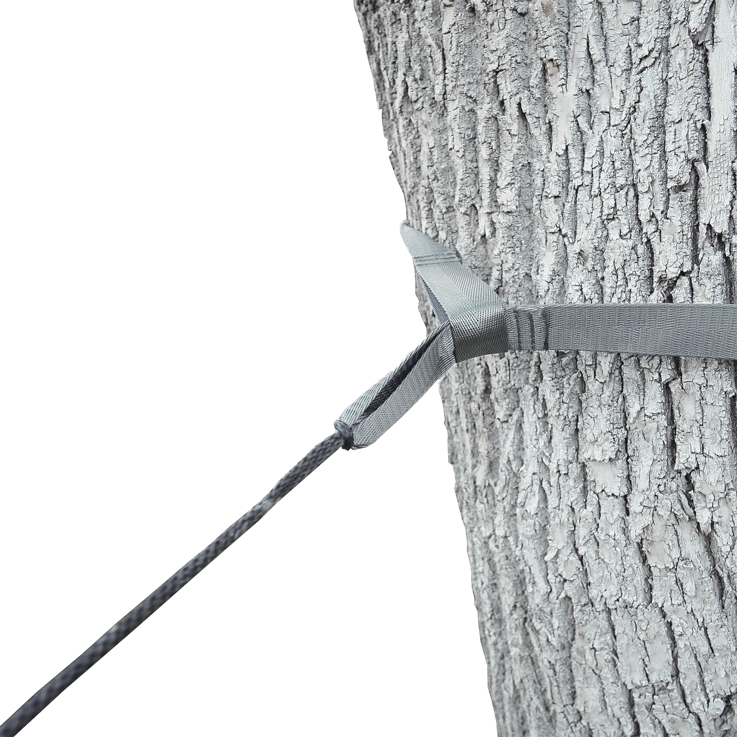 Close-up of an Outdoor Vitals tree saver strap wrapped around a tree trunk and attached to a Whoopie Sling suspension line.