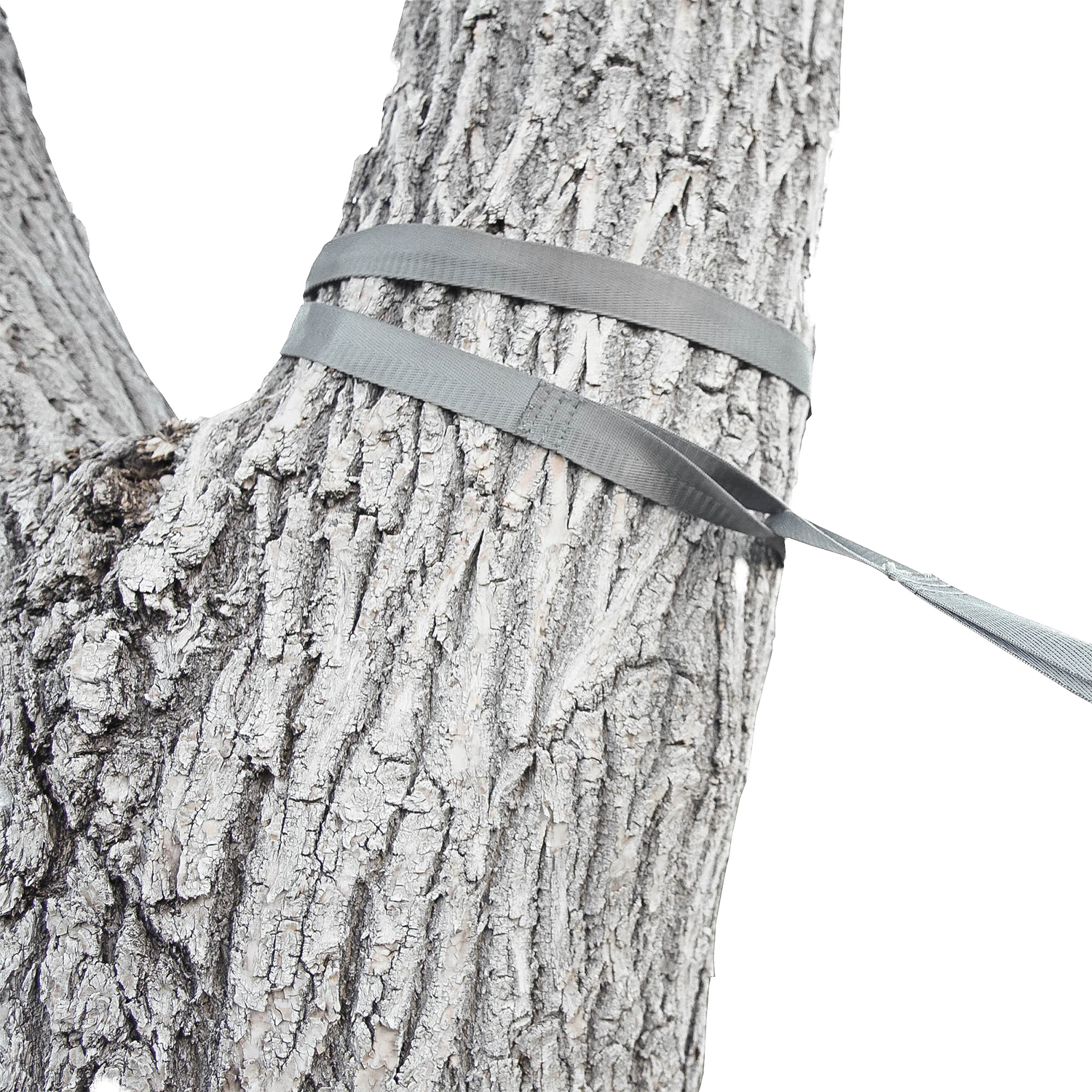 Close-up of an Outdoor Vitals tree saver strap wrapped around a tree trunk as part of a hammock suspension system.