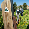 Wooden trail marker post with a Colorado Trail sign in the foreground, with two hikers wearing Outdoor Vitals CS40 Ultra Backpacks walking down a scenic mountain trail in the background.