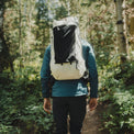 Back view of a hiker walking along a wooded trail carrying the Outdoor Vitals CS40 Ultra Backpack, highlighting the large front stretch pocket and ergonomic fit.