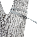 Close-up of an Outdoor Vitals tree saver strap wrapped around a tree trunk as part of a hammock suspension system.